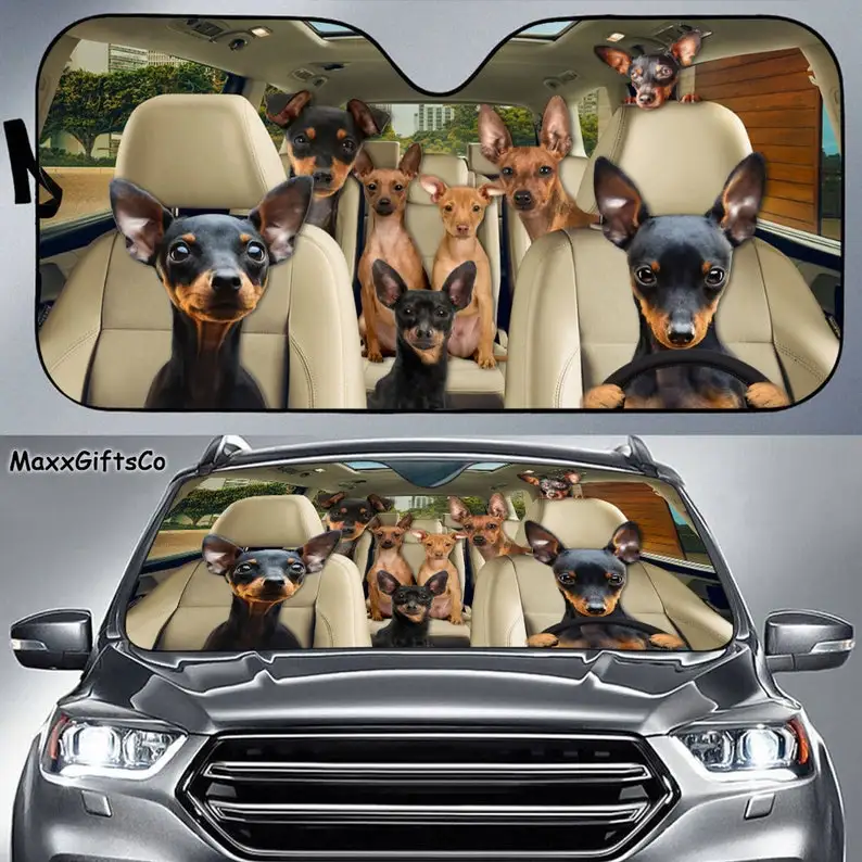 

Miniature Pinscher Car Sun Shade, Miniature Pinscher Windshield, Dogs Family Sunshade, Dogs Car Accessories, Car Decoration