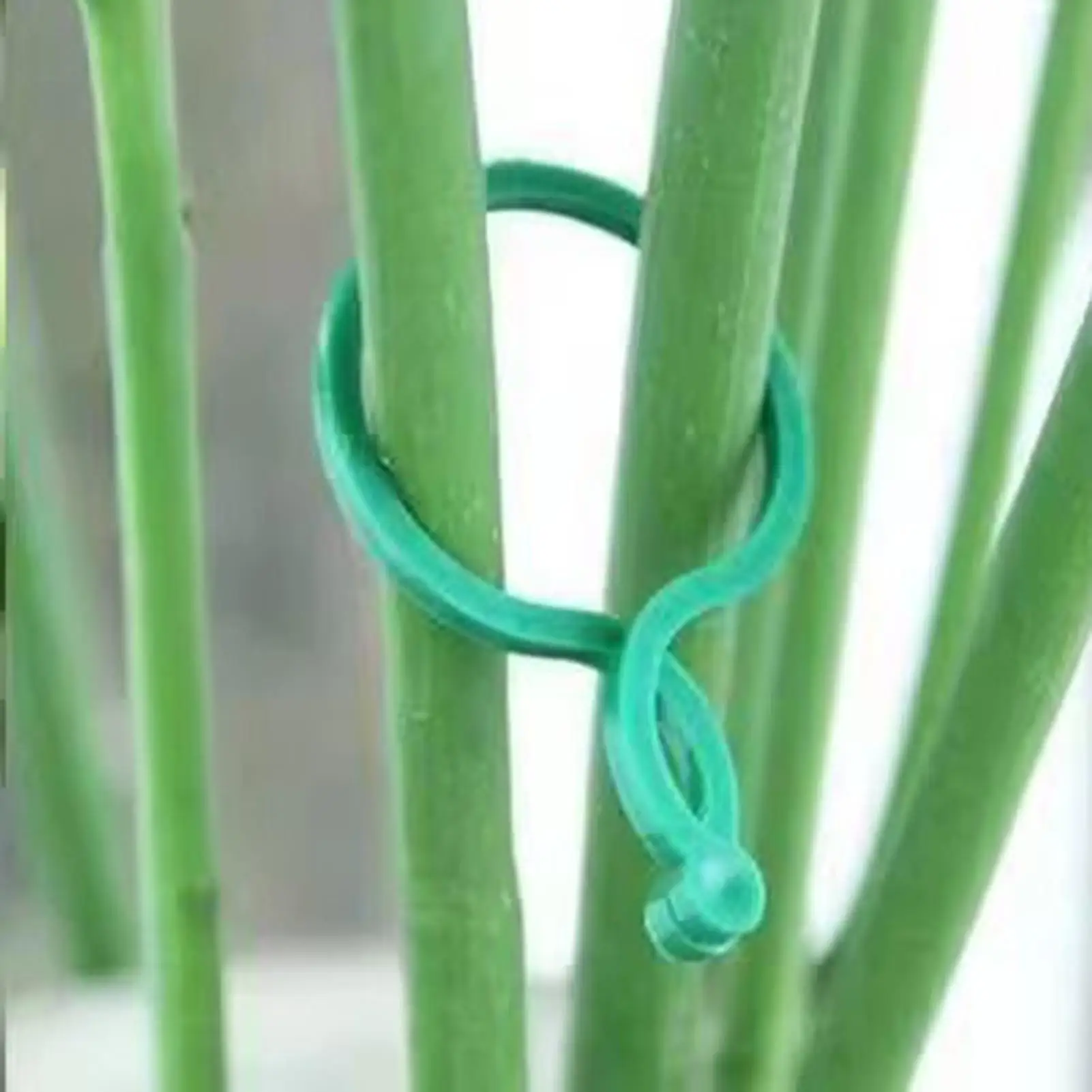 100Pcs Garden Plant Clips For Vegetable Growing Upright Plant Holder Green Plastic Bundled Ring Garden Stand Tool Vine Support