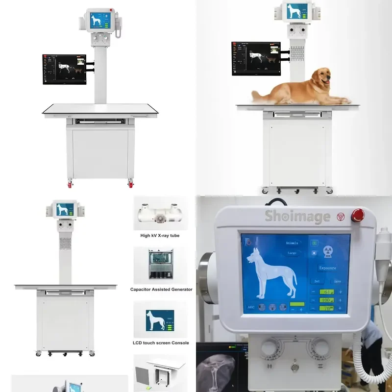 20kW 320mA Medical Veterinary Digital Radiography X-Ray Machine Equipment for Dogs Veterinary Instrument