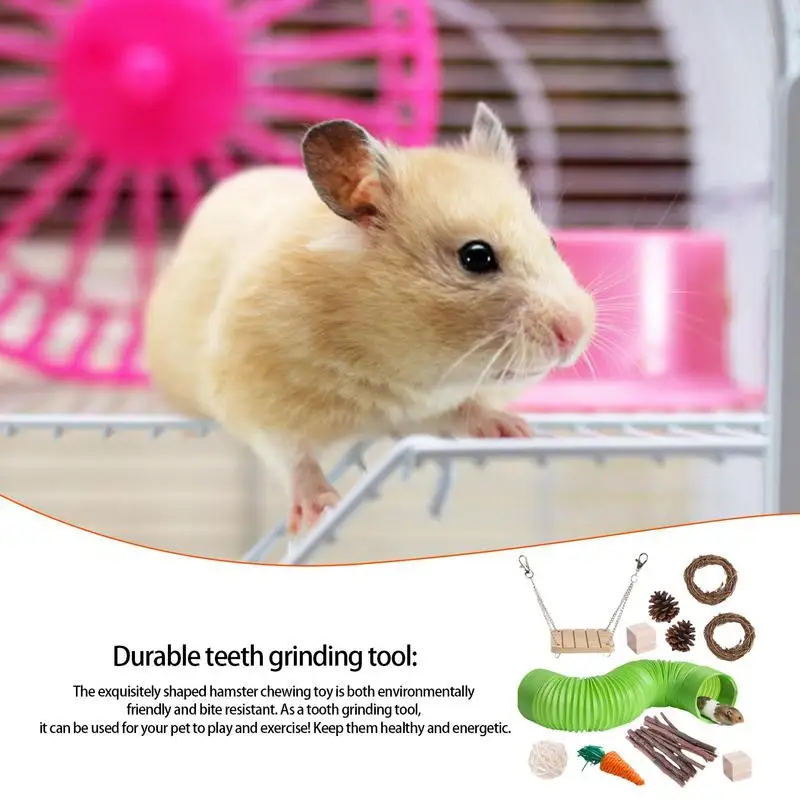 Hamster Chew Toy Set Natural Wooden Hamster Toys And Accessories For Cage Guinea Pig 11Pcs Chew Toy Teeth Small Animal Toy