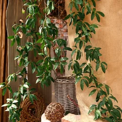 1.7M Artificial Wall Hanging Leaf Willow Leaf with Rich Seed Leaf Rattan Olive Leafs Plant Wedding Home Decoration