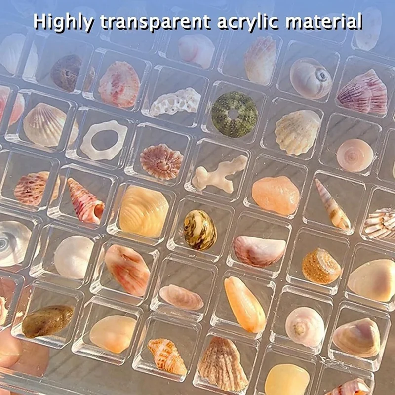 Display Box Magnetic Seashell Display Box Transparent Acrylic Seashell Storage Box Display Box(36 Grids)