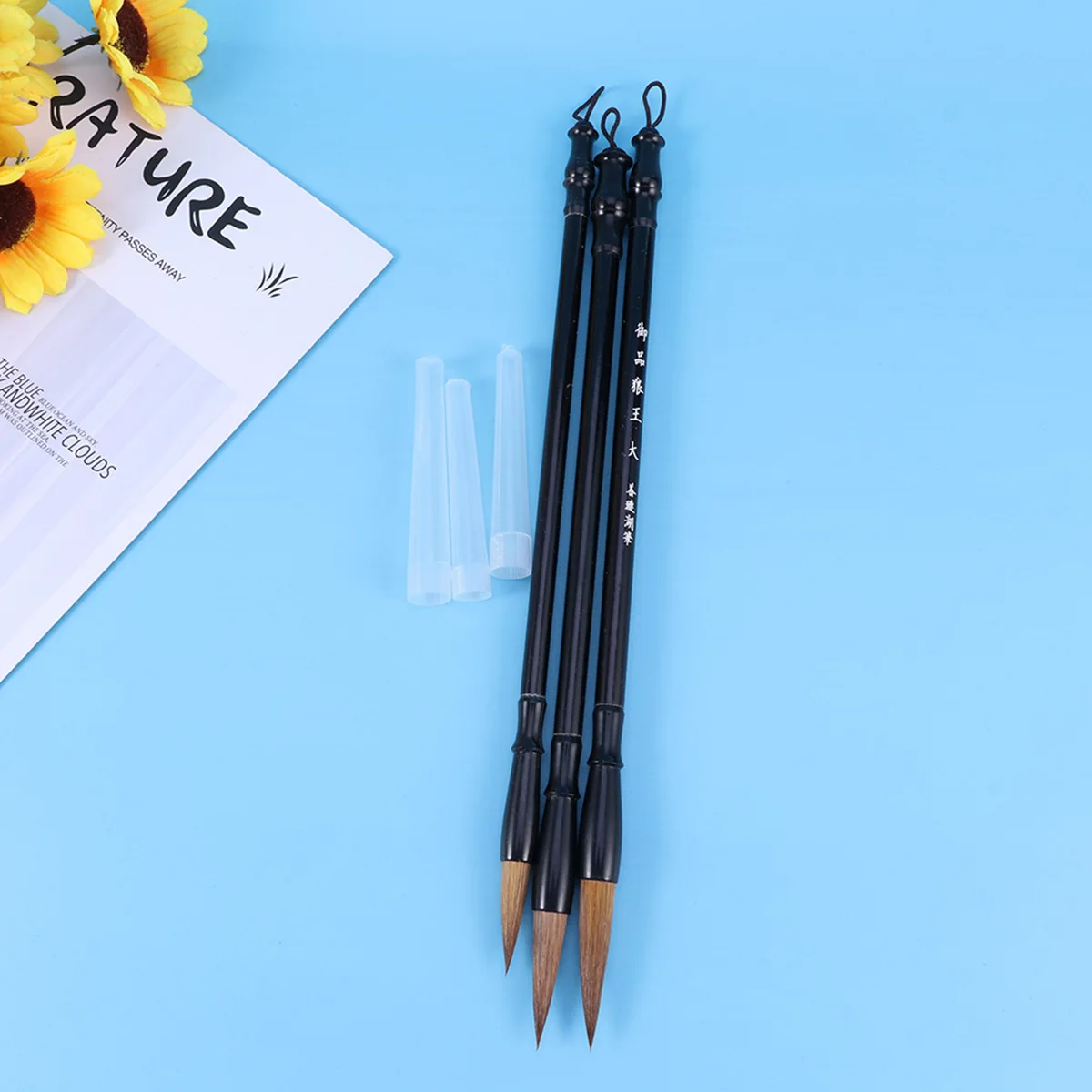 3 Pcs Brush Set Wolf Hair Writing Traditional Chinese Painting Drawing Student