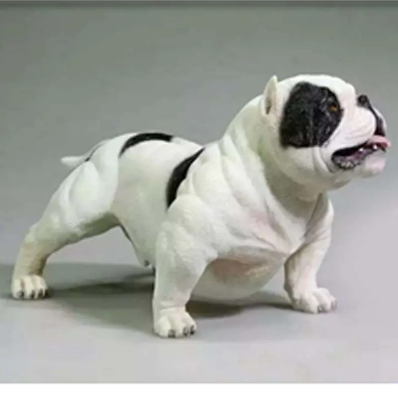 Mnotht 1/6 Scale Bully Pitbull Bully dog With Chain+Collar Resin Animal American Dog Pet Model For 12\