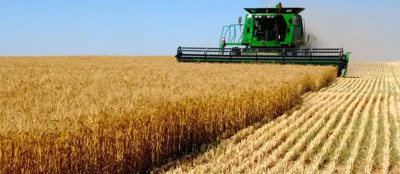 الماصدات والآلات والمحددات #4