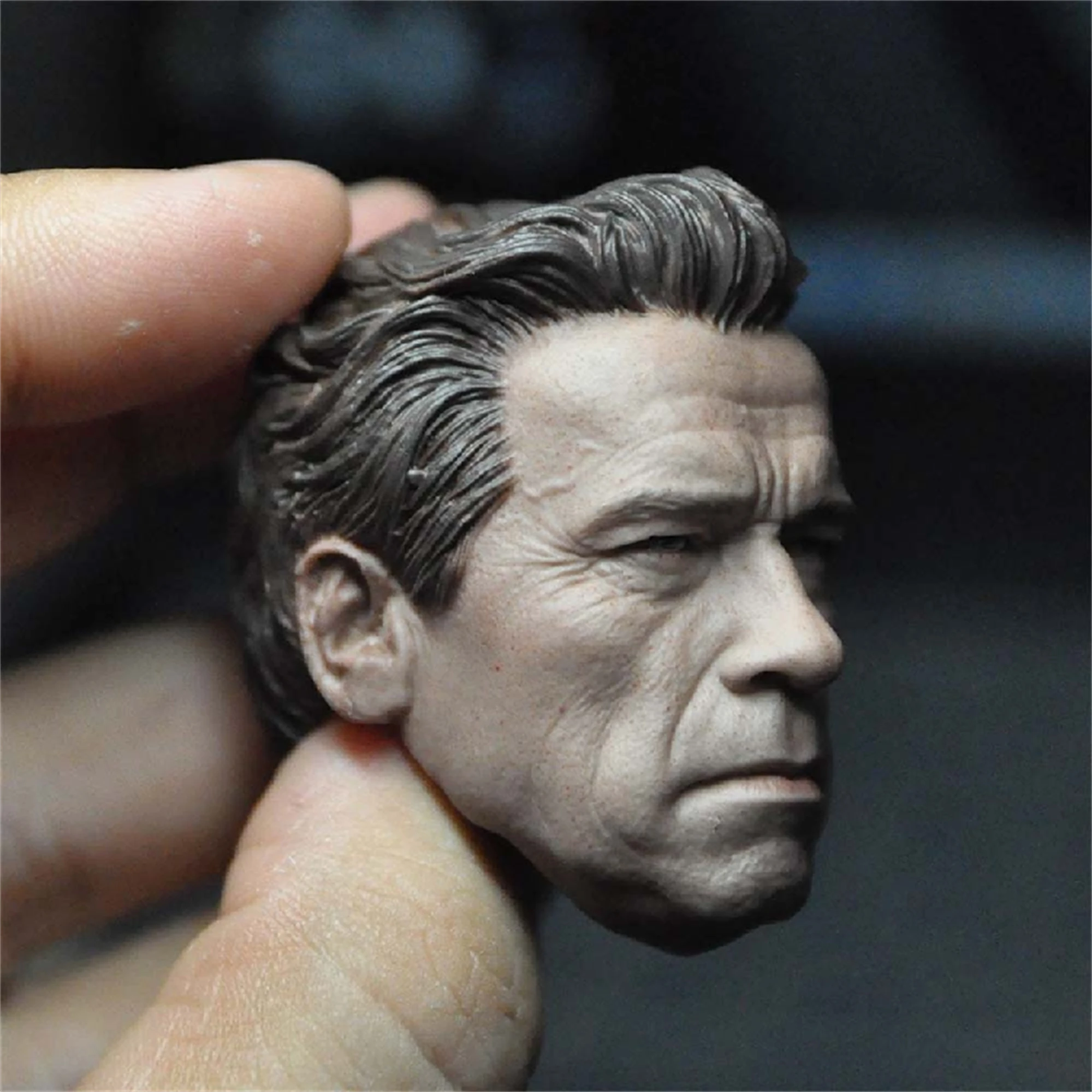 1/6 Scale Old Arnold Schwarzenegger T800 Head Sculpt Model Fit for 12inches Action Figure Body Toys