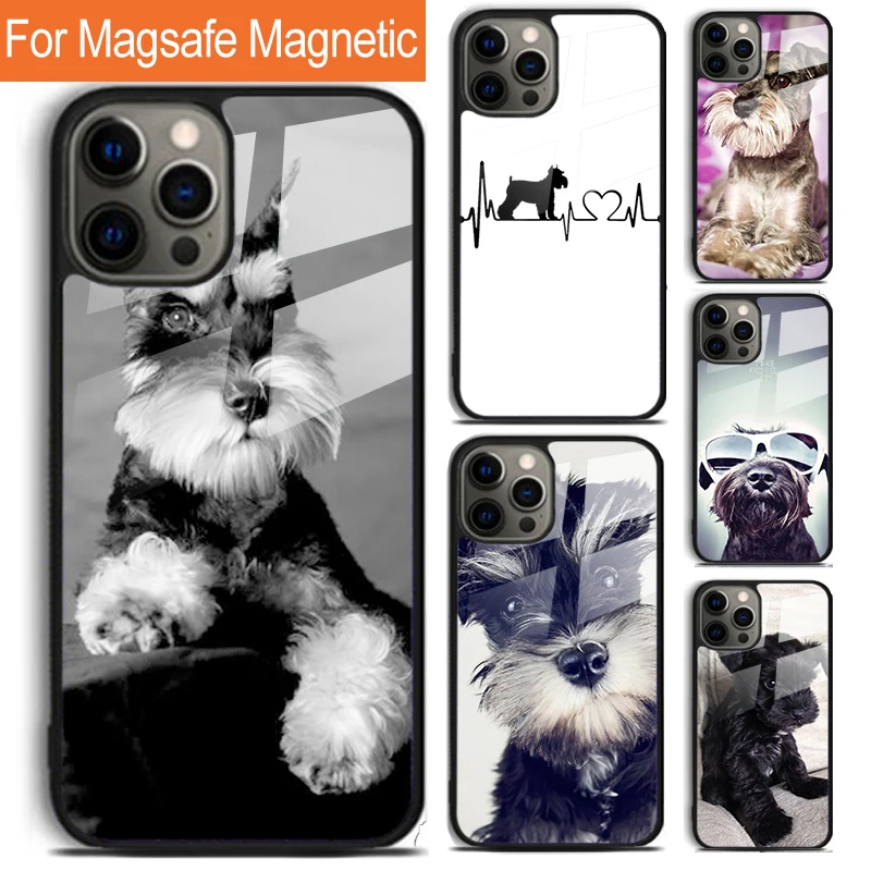 Miniature schnauzer puppy dog Phone Case For iPhone 16 15 14 13 12 11 Pro Max Plus Magsafe Magnetic Wireless Charging Cover