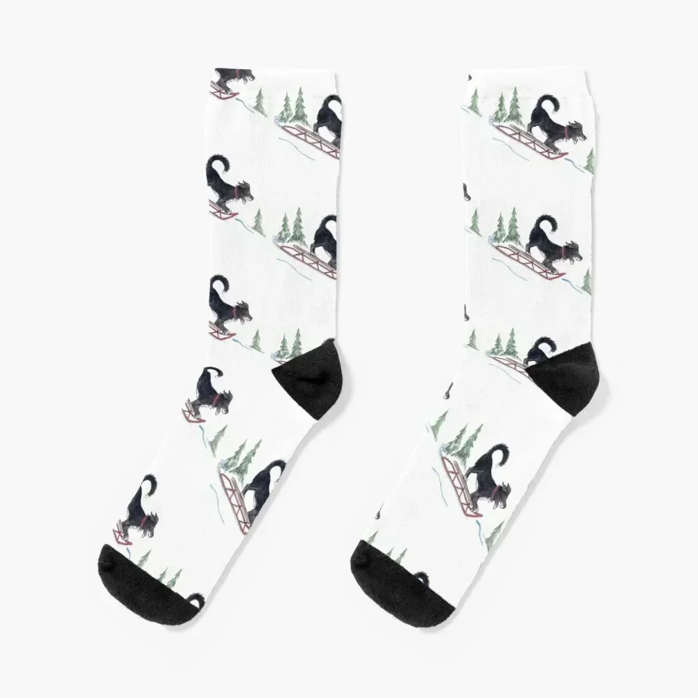 

Dog Sledding Watercolor Socks Stockings colored Children's ankle Socks Men Women's