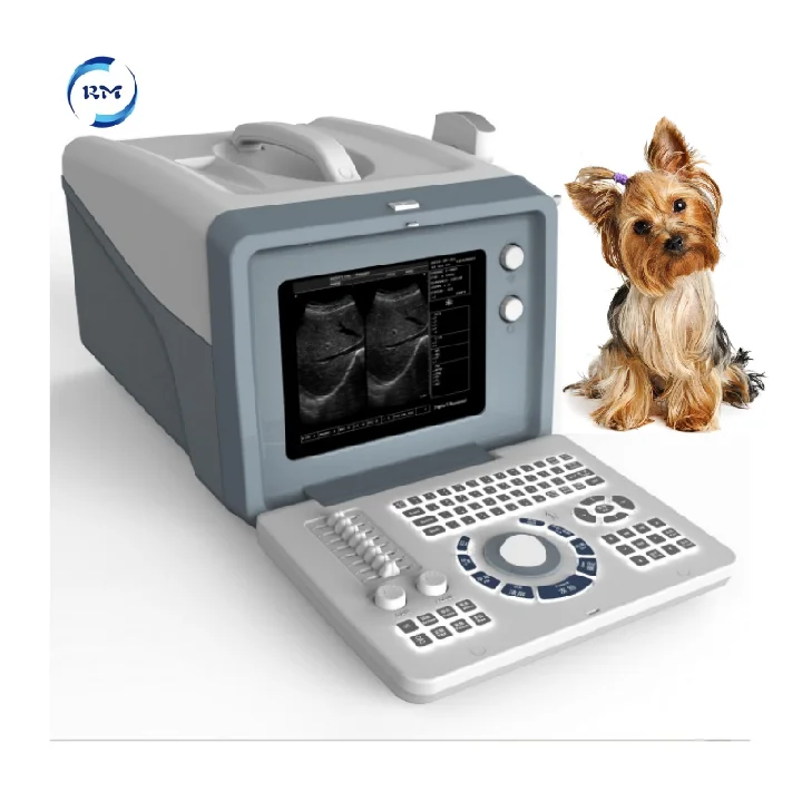 Approved Ultrasound System 12 Inches LED Digital Portable Vet Ultrasound Machine