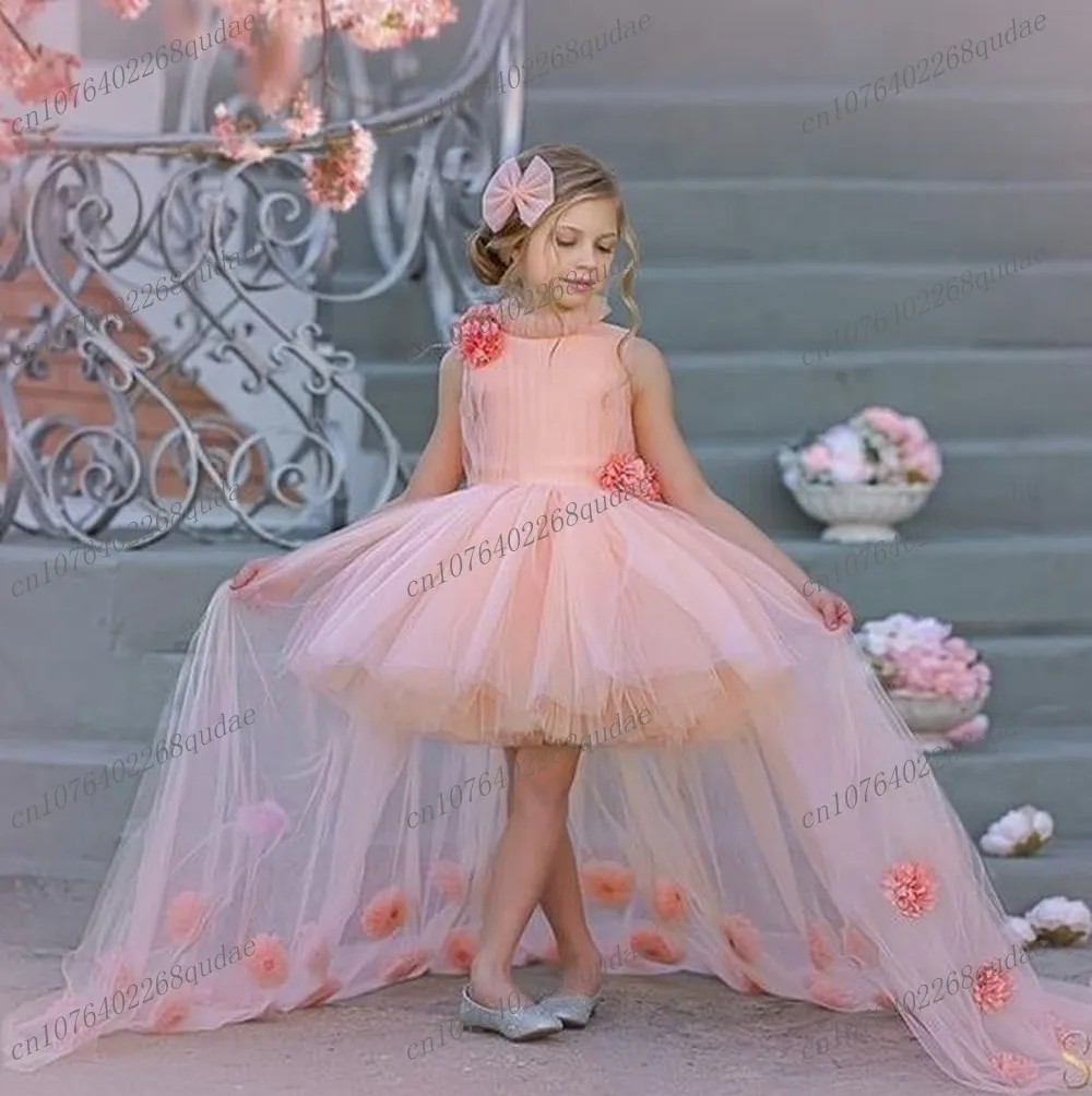 

Pink Princess Handmade Flowers Tulle Detachable Tail Flower Girl Dresses First Communion Special Occasions Toddler Baby Gown