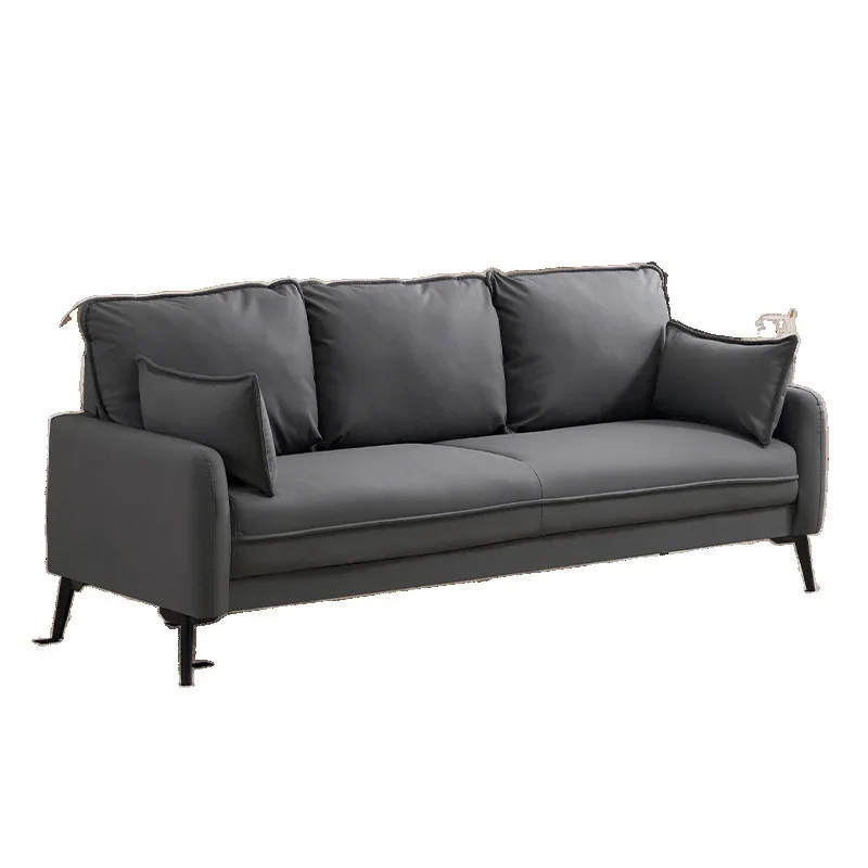 

Light luxury sofa small apartment living room simple double triple apartment clothing