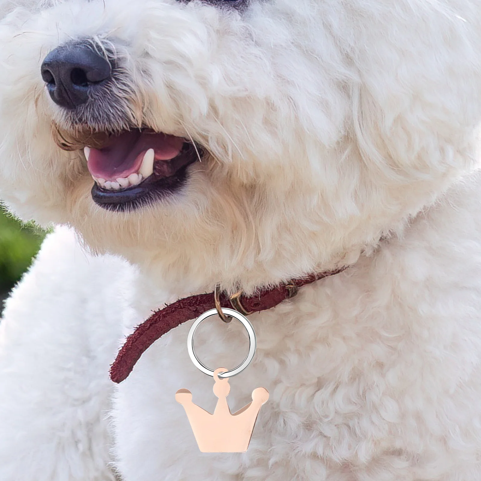 

6pcs Engraving Dog Tags Metal Pet Tags Craft Identification Rose Gold Dog Tag Charms Metal Stamping Blanks