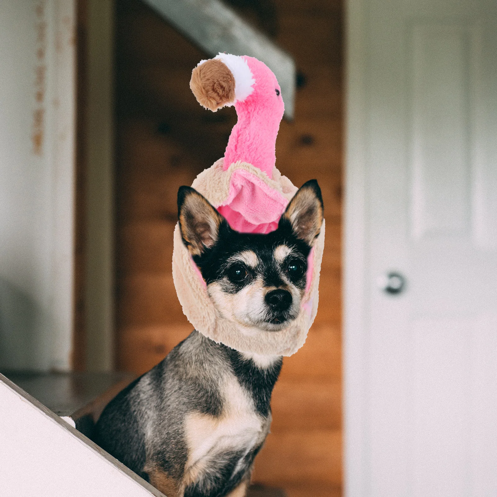 

2Pcs Pet Hat Cartoon Dog Cat Cap Party Wear Cute Adorable Pet Head Accessory Adorable Cat Hat Warming Cap for Pets