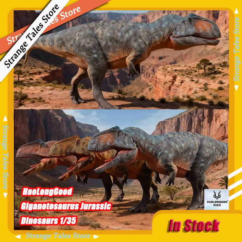 

Новинка 2025 года, HaoLongGood Giganotosaurus, модель из ПВХ, статуя динозавров Юрского периода, игрушки, 1/35, палеонтология, коллекция ручной работы, подарок