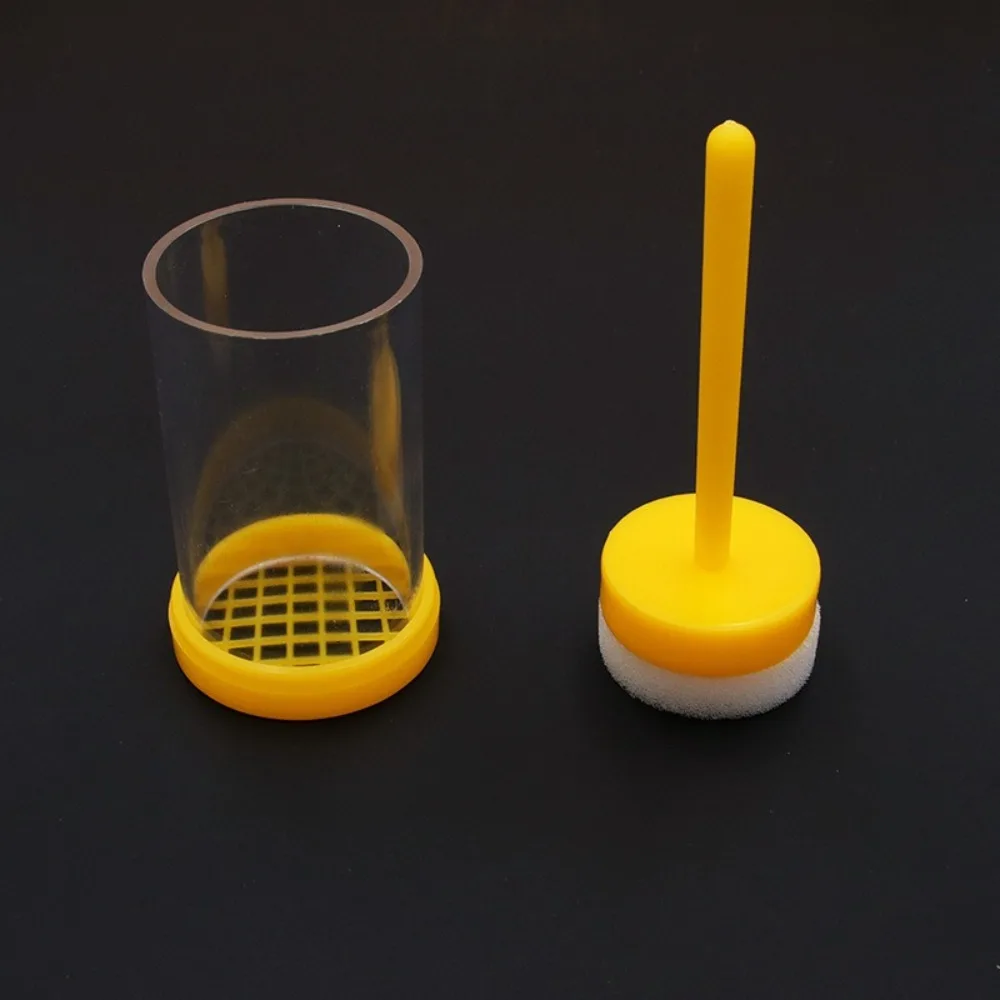 Transparent Queen Bee Labeled Bottle Queen Bee Cages Bee Marker Plunger Marker Tools Plastic Beekeeping Breeding Bottle