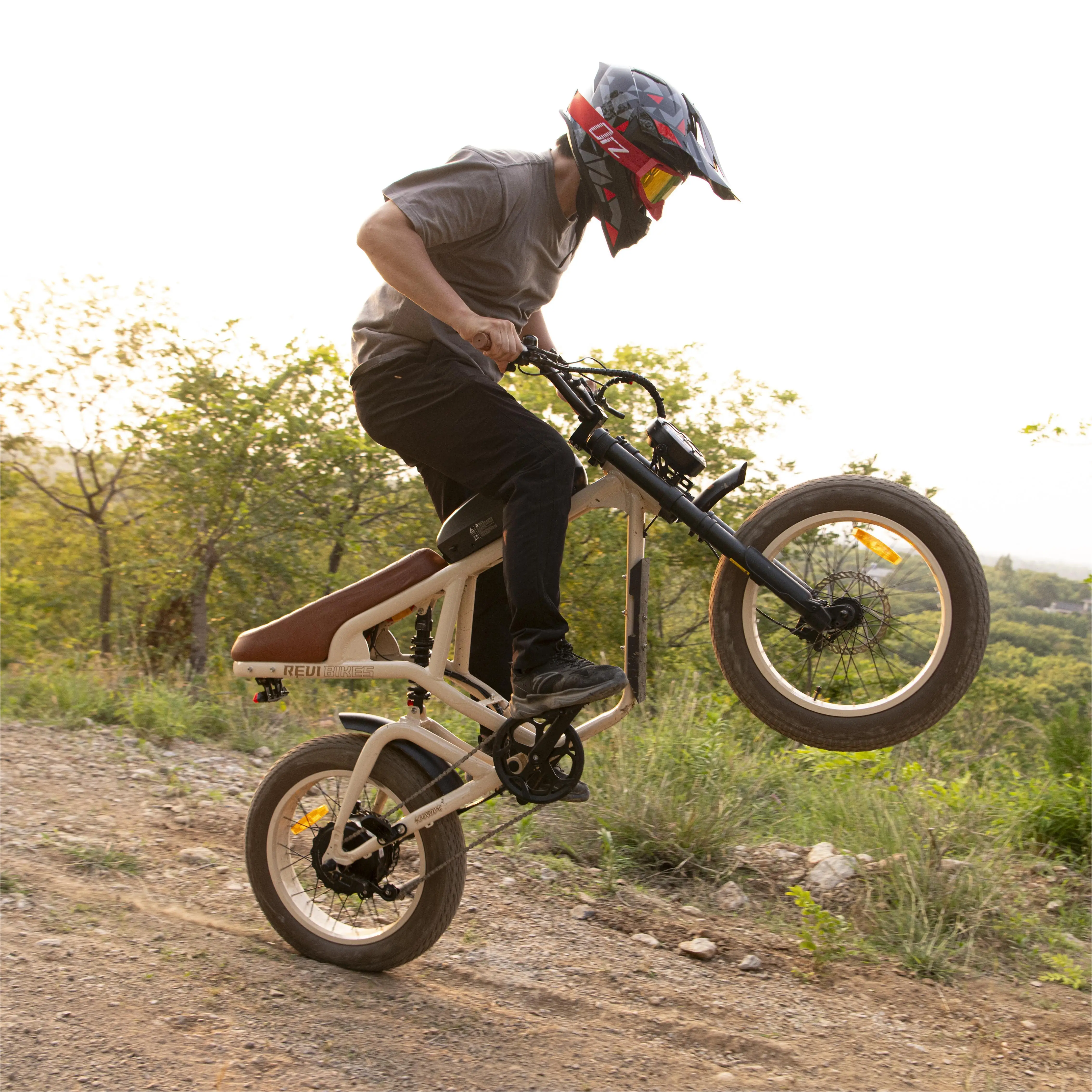 

Clrak Cougar Electric Mountain Bike 1000w/1200w 60V Fat Tire E-Bike With Anti-theft Protection
