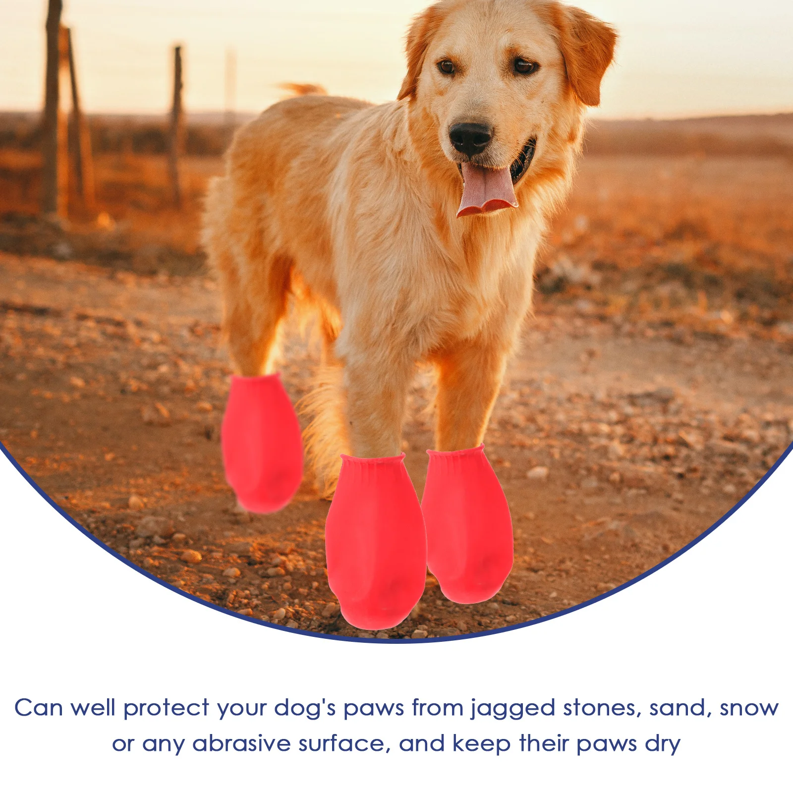 

4 Pcs Boots for Small Dogs Paw Socks Waterproof Outdoor Rain Shoes Covers Foot Protector