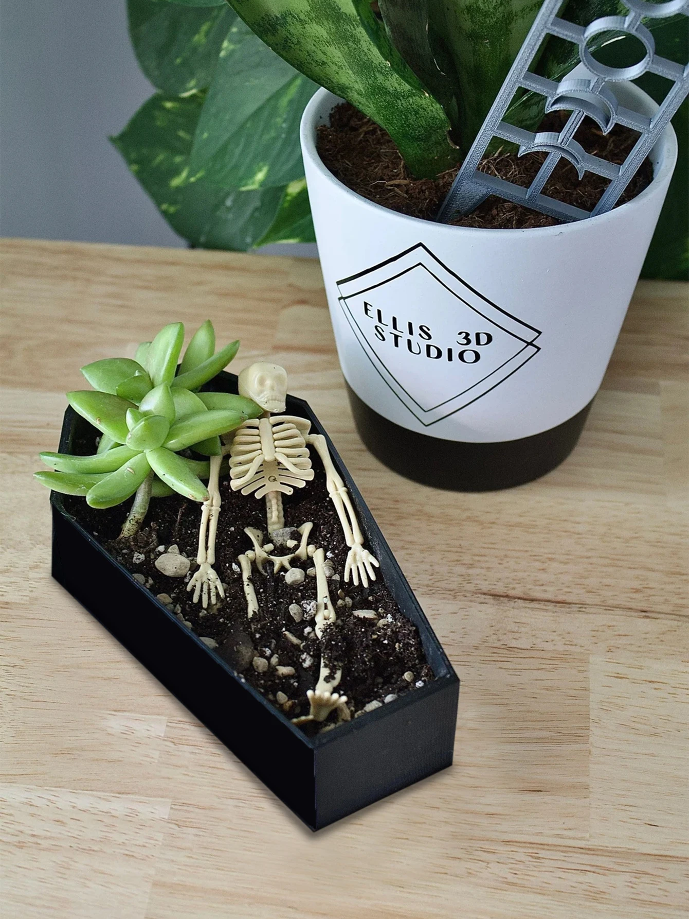 Black Coffin Shaped Planter Pot Halloween Themed Succulent Flowers Style Wood Container Creative Desktop Decor for Home & Garden