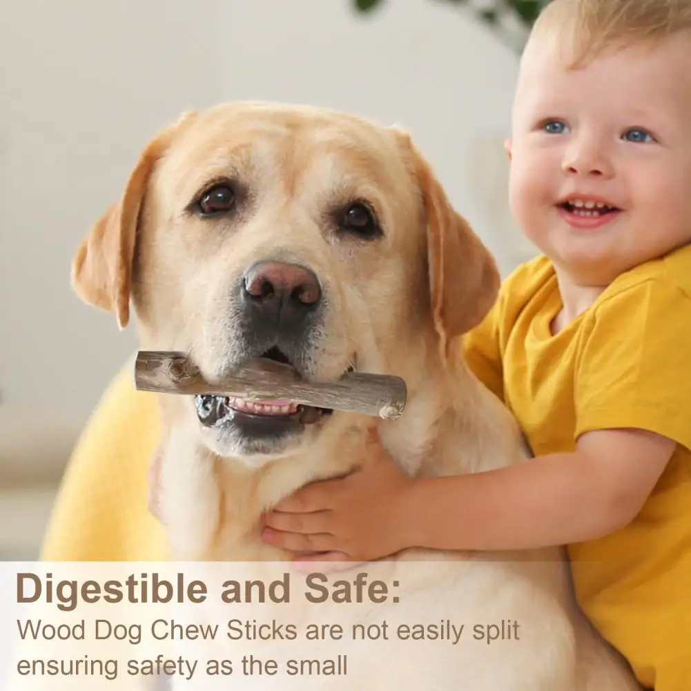 Wood Alternative Dog Chews Natural Wooden Dog Chew Sticks for Teeth Stress Relief Wood Chews Toy for Dental Health Care 100