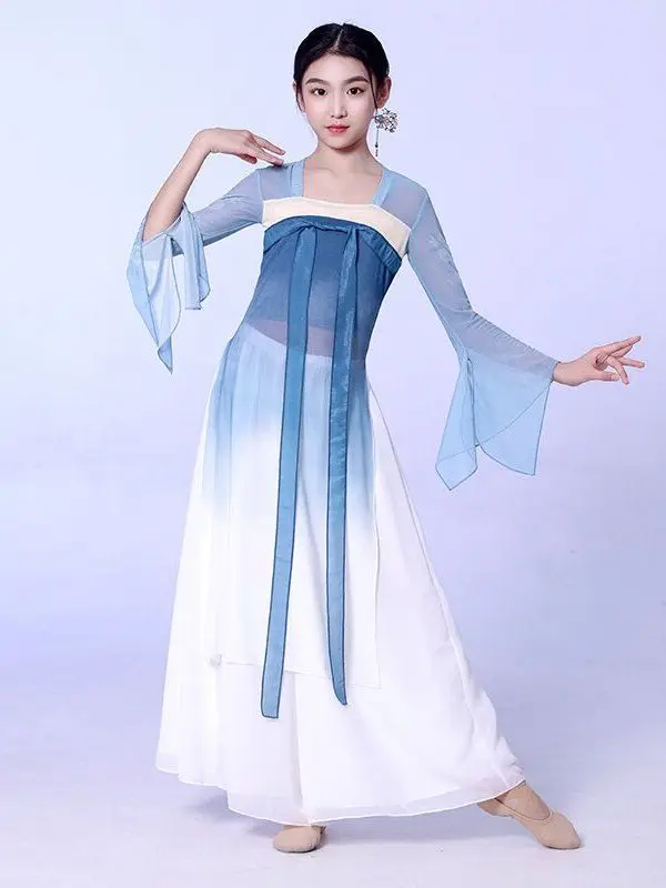 Girls Chinese Classical Dance Costumes Martial Arts Costumes Elegant Gauze Top Long Chinese Dance Performance Dress