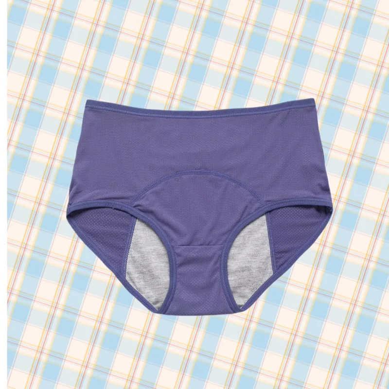 4 قطعة/المجموعة مانعة للتسرب المرأة الصحية الفسيولوجية منتصف الخصر سراويل الحيض فترة الملابس الداخلية الحرير الجليد الإناث ملخصات #2