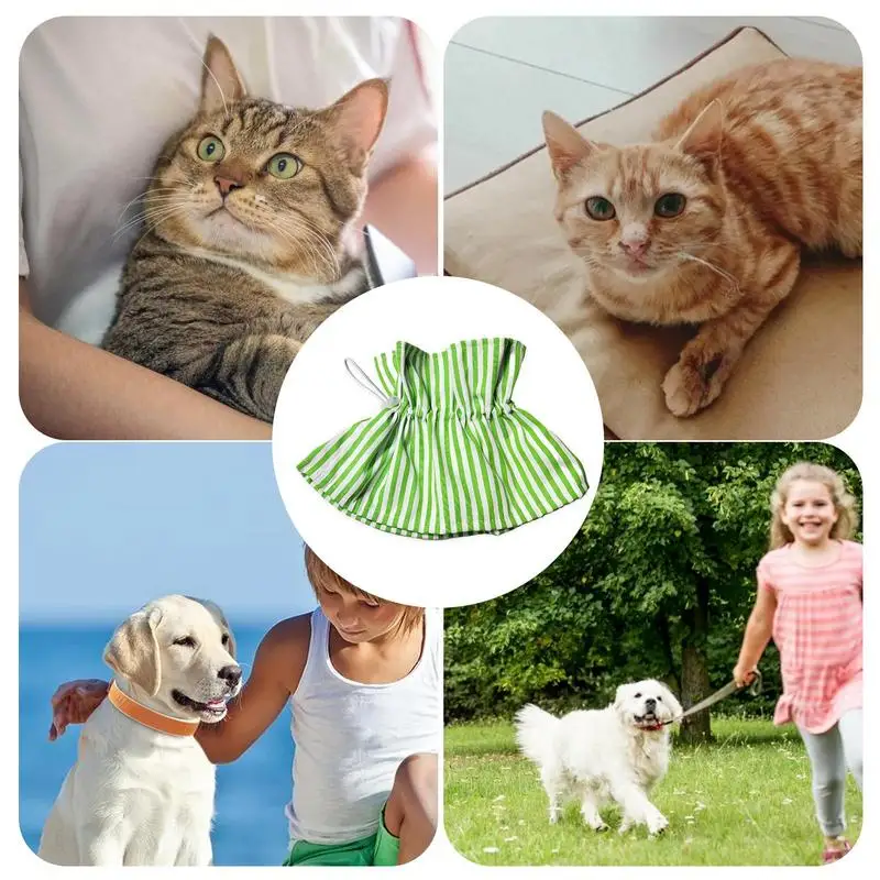 Collier élisabéthain en polyester doux pour chats, récupération, proximité, Wstring Design, confortable, protecteur, réglable, fournitures pour animaux de compagnie