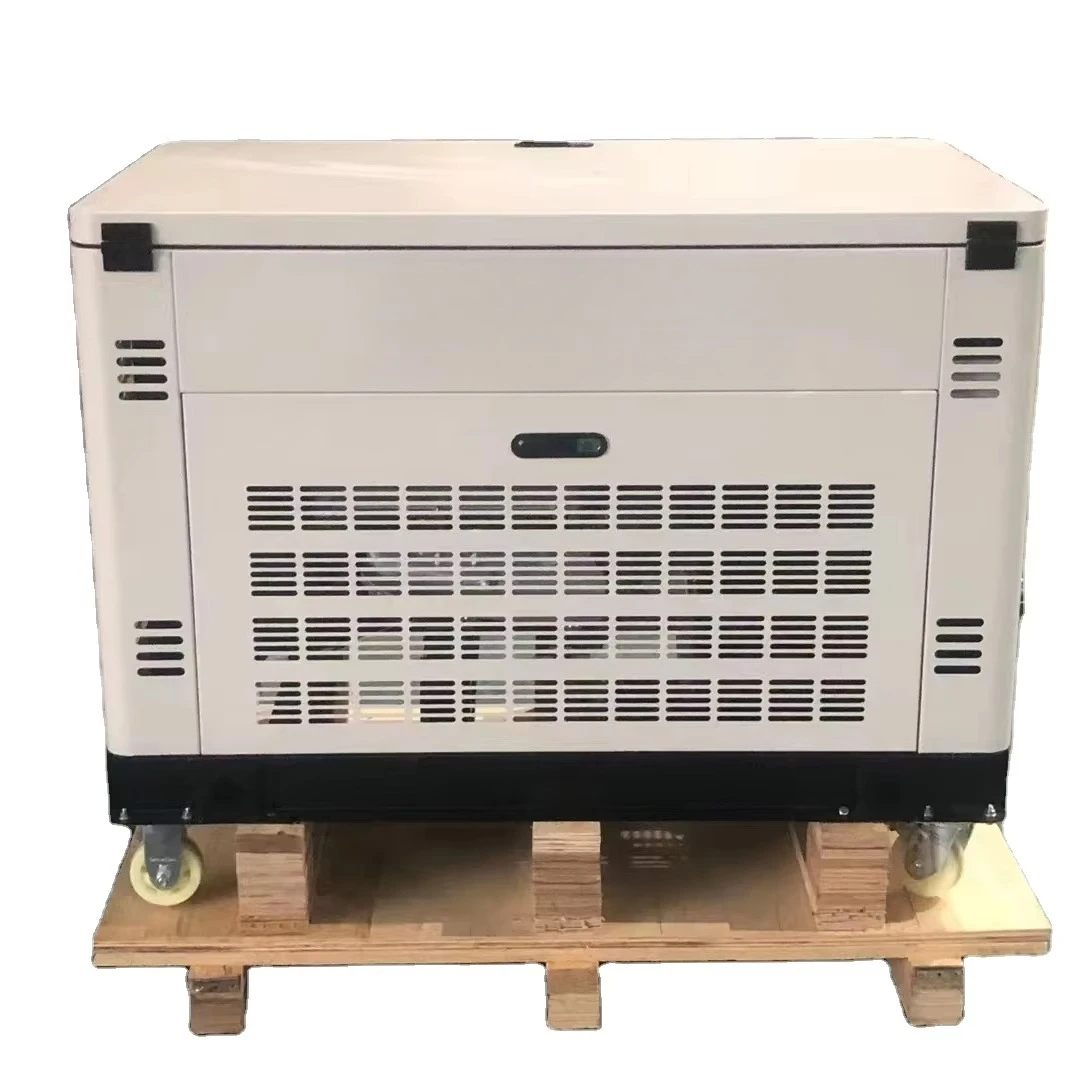 

10kw Portable Silent Cogeneration Small Natural Gas Generator for Home Use Biomass GasolinePetrol Dual Fuel Generator