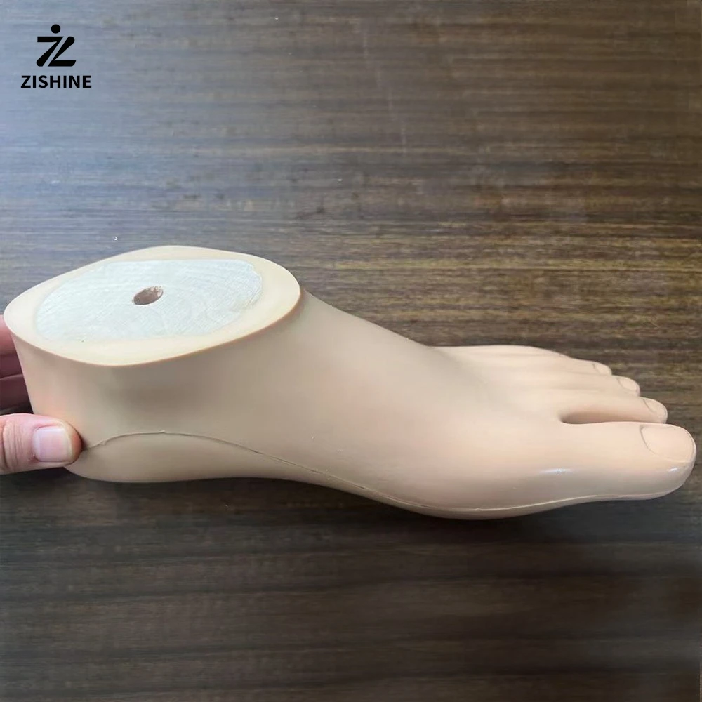 Prosthetic Footplates, Static Ankle Joint Accessories, Parts, Orthotic Components, Prosthetic Sockets, Fastening Prostheses