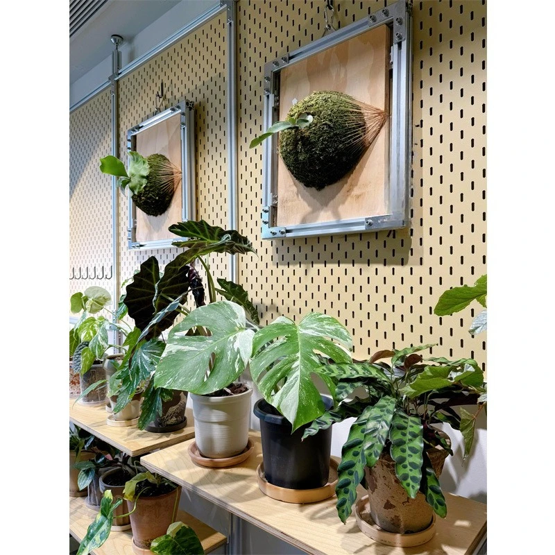 

Aluminum profile flower stand, living room floor-to-ceiling marine panel flower pot stand, storage flower arrangement storage