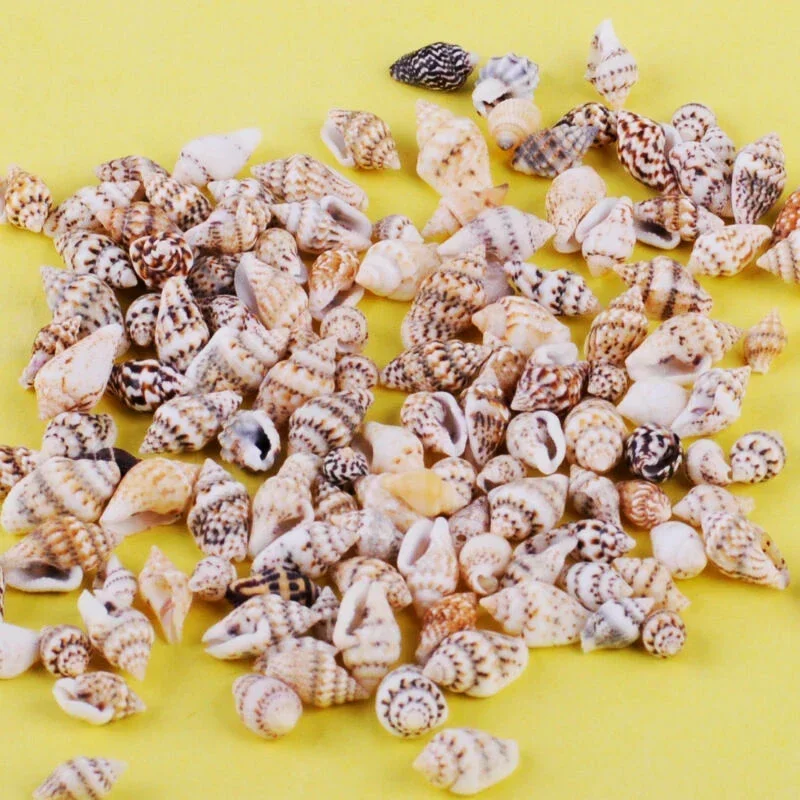 

100pcs 1-2 cm Natural Sea Shells Conch Beach Decor Craft Seashell Aquarium Marine Style Fish Tank Seashells Conch Embellishment