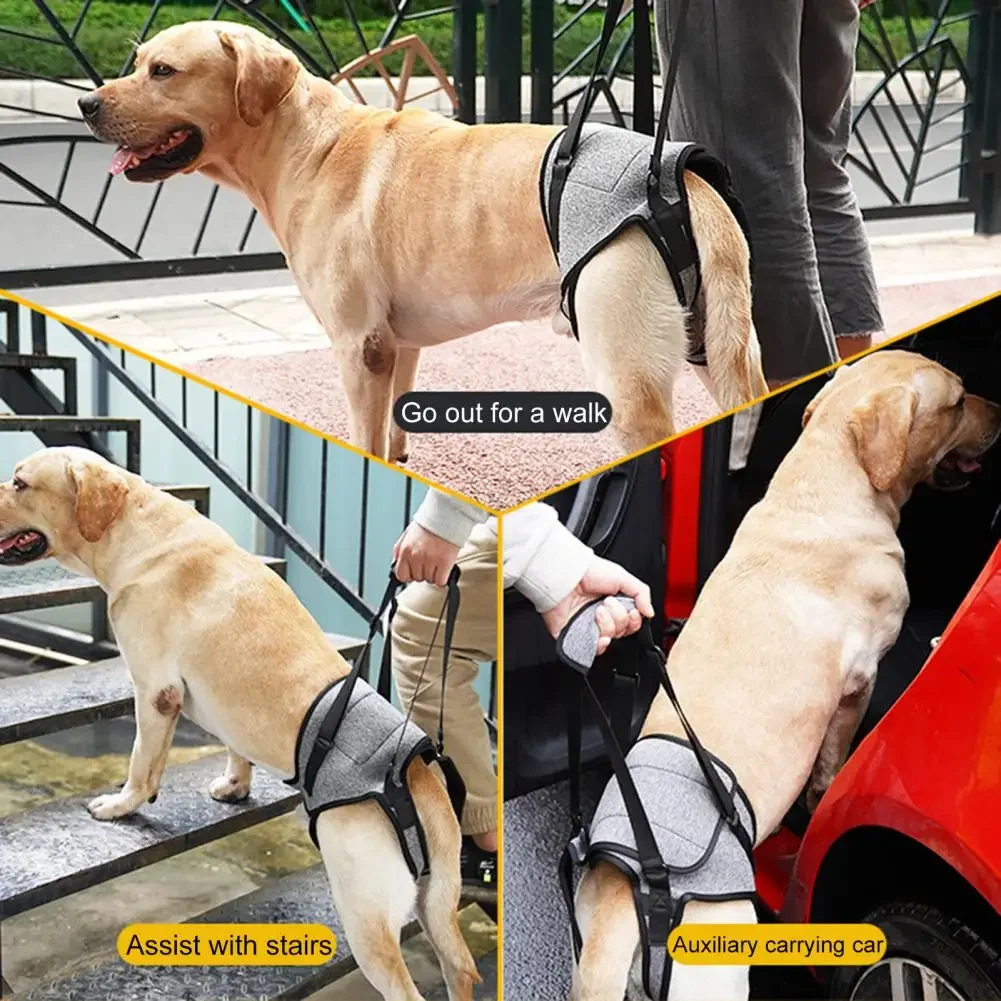 Dog Support Harness Elastic Dog Lift Harness Reduce Pressure Walking Aid Disabled Pet Mobility Hind Leg Support لجام الخيل