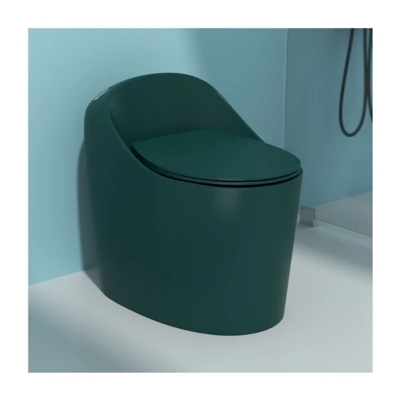 

Europe luxury toilet sanitary ware toilet concealed cistern toil