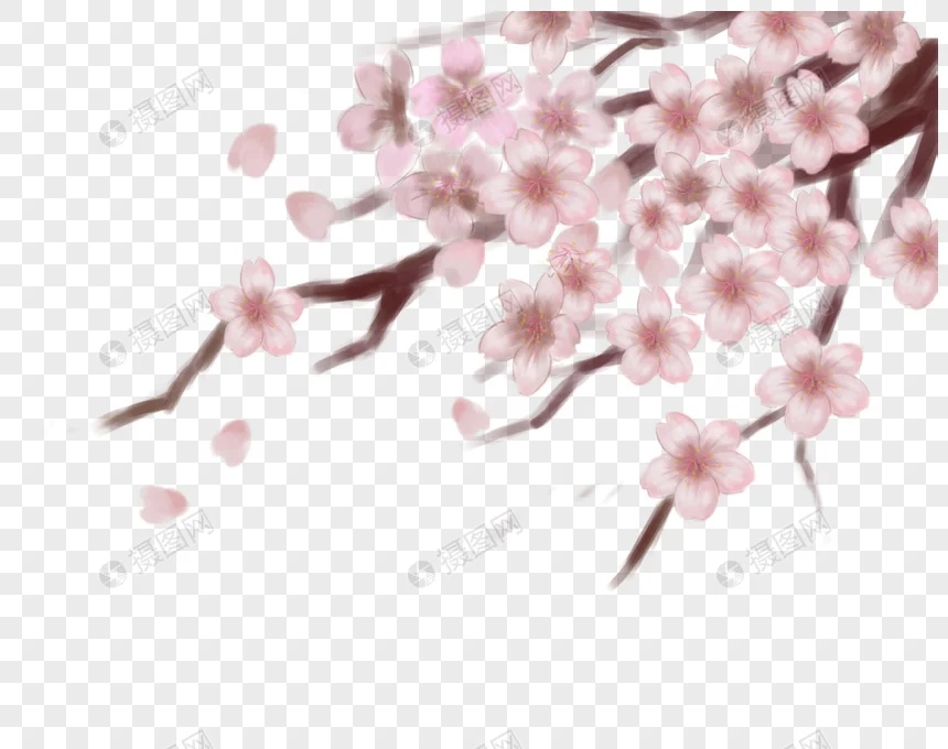 

FOR MJX Hyper Go 14301 14302 14303 14304 RC Car 63mm Whirlwind type tire