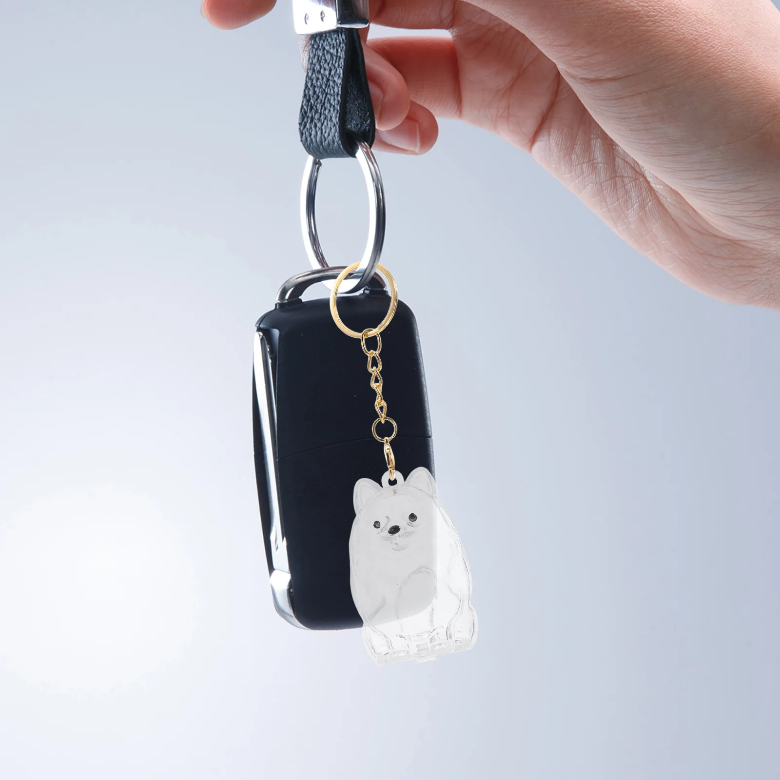 

2Pcs Transparent Pet Hair Keepsake Box Innovative Clear Bottle Dog Memorial Keychain Organize Shedding Hair Memory