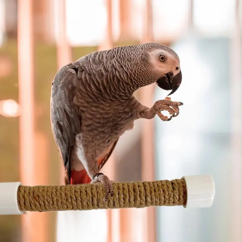 Suction Cup Bird Window And Shower Perch Toy For Parrot Macaw Cockatoo African For Grey Conure Parakeet Parrot bracket view 3