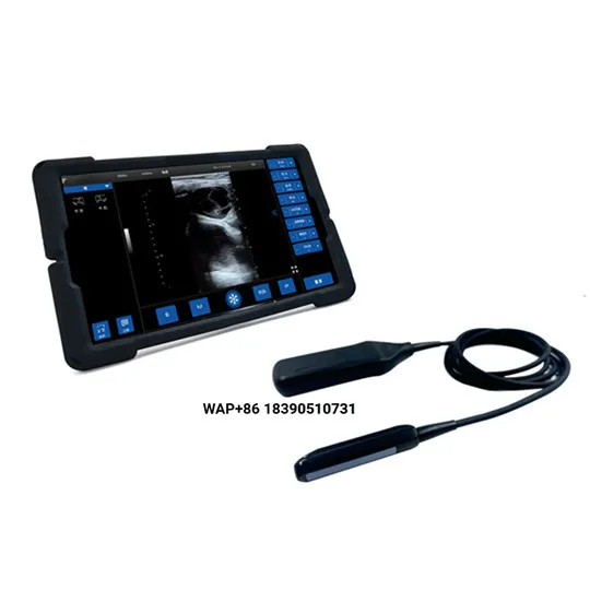 Waterproof portable veterinary ultrasound diagnostic wireless network scanner with tablet for pet veterinary diagnosis