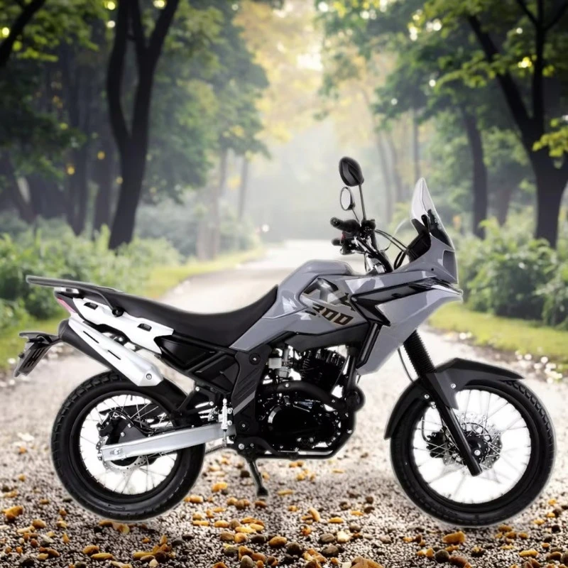Rs 250Cc SUV with Oil Cooled Engine, High Ground Clearance and Light Emitting Diode - Adventure Ready