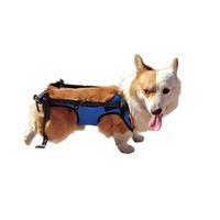 Top Seller Pet Healthcare Product Dog Leg Support Wheelchair for Disabled Hind Legs for Pet Training Supplies