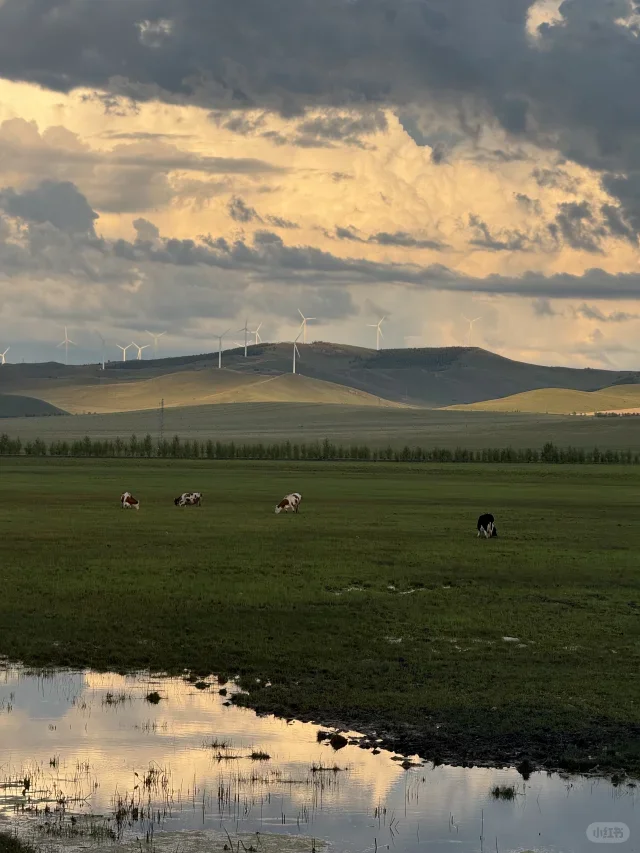 

PX6 Android 13 8 + 256 ГБ для Toyota Fortuner 2007-2015 Вертикальный экран Радио головное устройство Стереоприемник Мультимедийный плеер