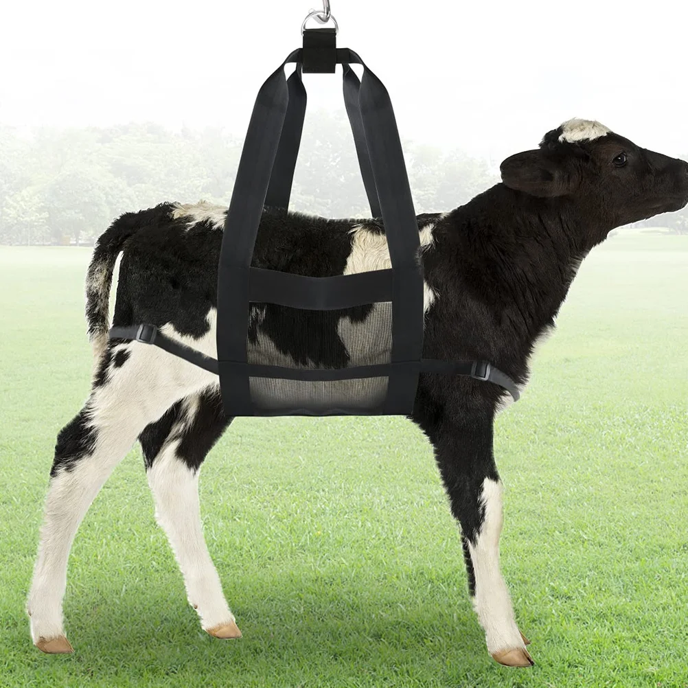 

Premium Material Pet Weigh Hammock Strong Bearing Breathable Mesh Easy Clean Reusable Suitable Small Pets Puppy Dog Calf Goat