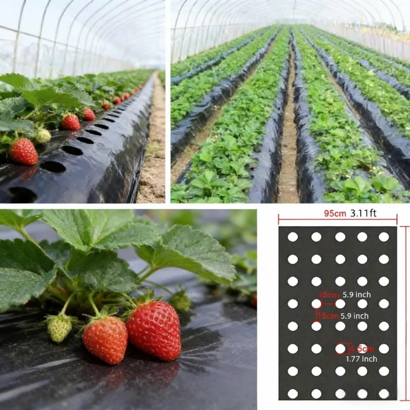 Agricultural Greenhouse Vegetable Special Black Degradable Mulch Film High Moisture Anti-Weed Plant Protection Mulch Film