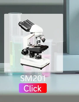 Svbony SV603 60x-120x Tragbares Handmikroskop mit LED-Lichtquelle und Einstellmöglichkeit zur Förderung des Interesses von Kindern – Detail 5
