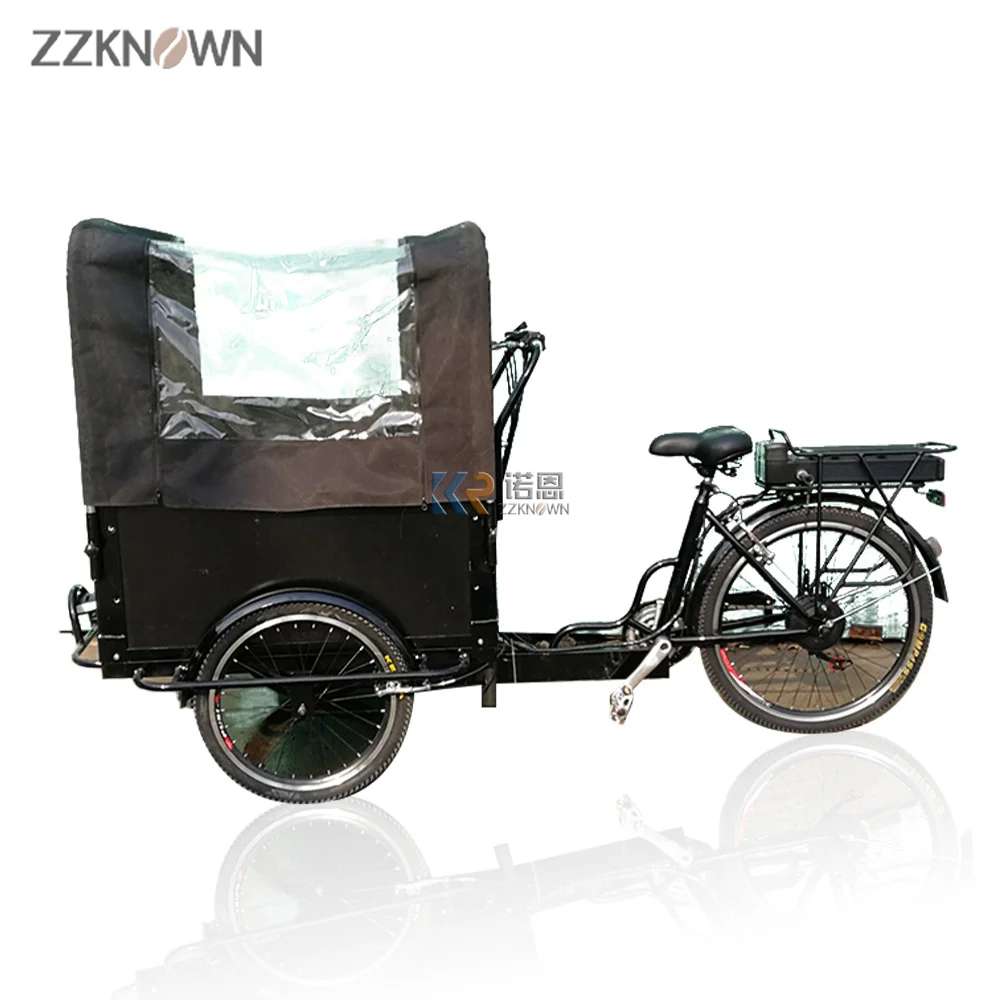 

Manual Adult Dutch Cargo Bike 3 Wheel Eu Family Kid Bike Bakfiets Ice Cream Cart