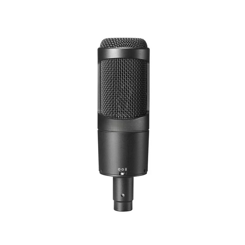 AT2050 large diaphragm condenser recording microphone, microphone