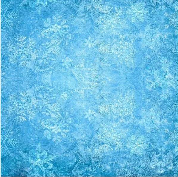 8x8FT Frozen Winter Wonderland Snowflakes Forest Tree Waterfall Custom Photography Backgrounds Studio Backdrops Seamless Vinyl