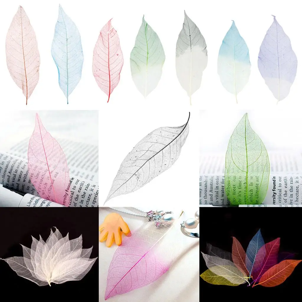 50 Natural Skeleton Leaves Scrapbooking Craft DIY Embellishment