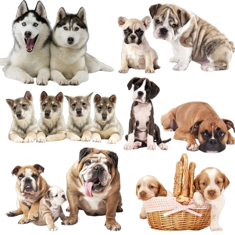 Three Ratels QD147 Cute Pet Dog kid's Place Scratches Cover Decoration Wall Stickers Refrigerator Furniture Toilet decals