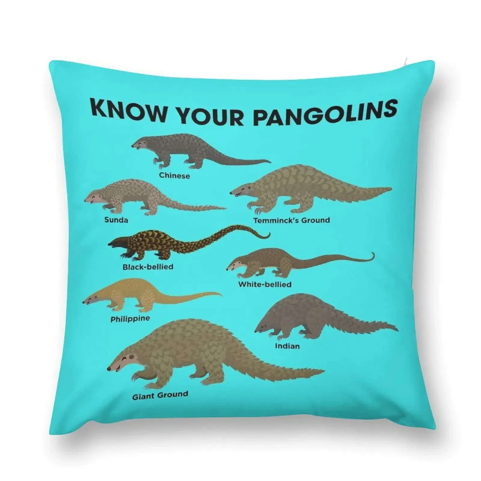 

Know Your Pangolins Throw Pillow Christmas Pillow Covers Sofa Decorative Covers Sofa Cushions Covers autumn decoration pillow