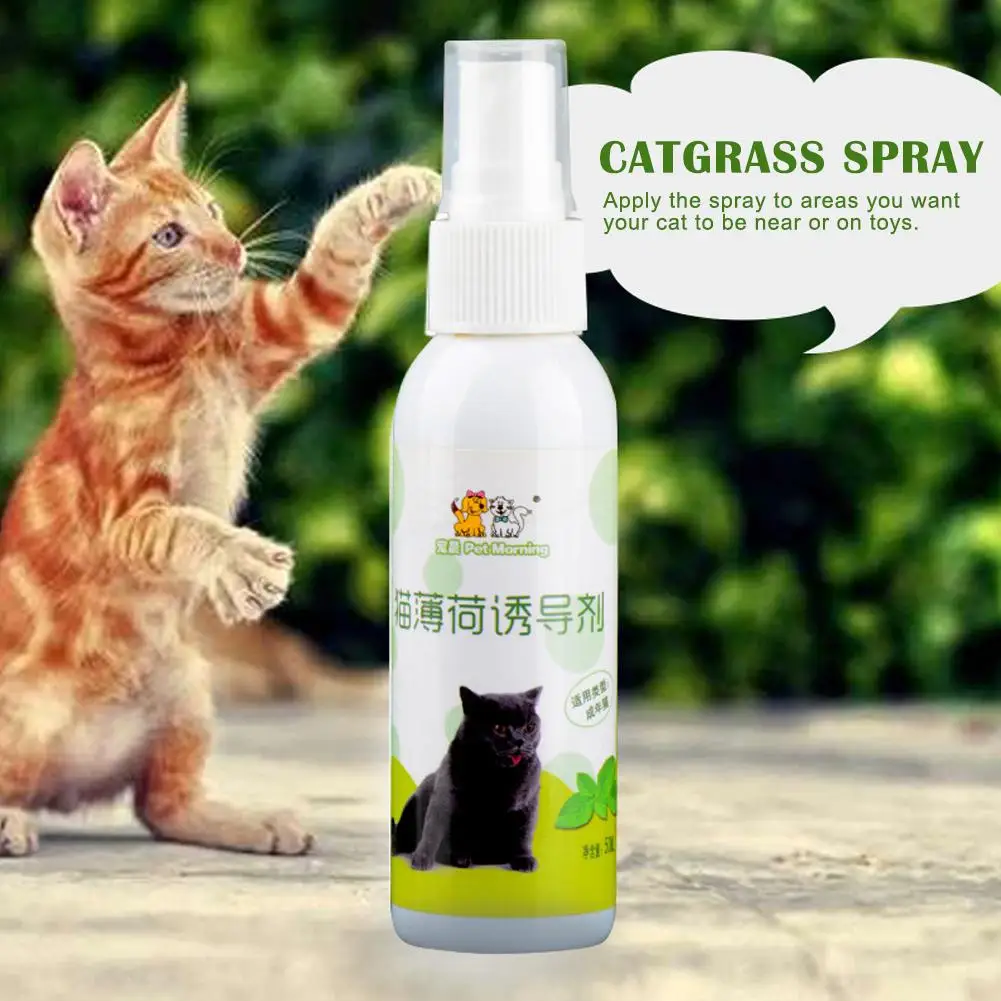 1 buah 50ml Catnip kucing semprot sehat alami aman jangka panjang mainan kucing peliharaan pelatihan menggaruk CatMint induktor efek Pad W0Q4