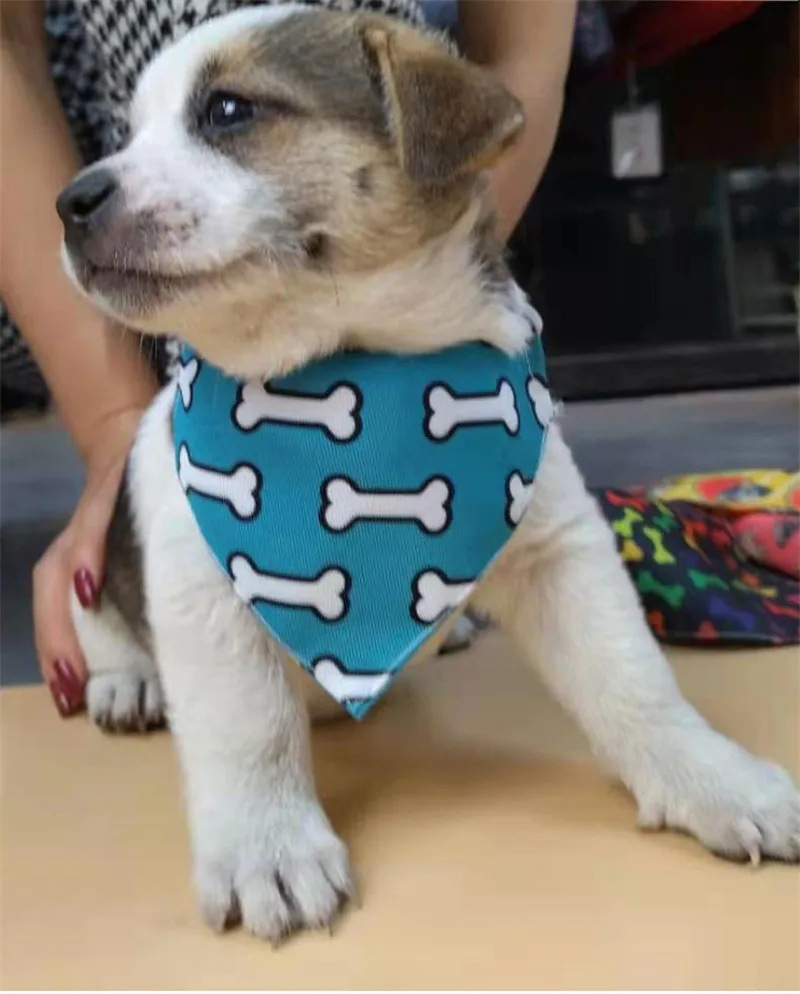 New Dog Cat Bandana Scarf Collar Adjustable Pet Neckerchief Cute Paw Pattern Scarf Waterproof Saliva Towel for Small Dog